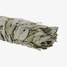 Load image into Gallery viewer, White Sage Smudge Stick