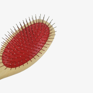 Natural Dog Brush