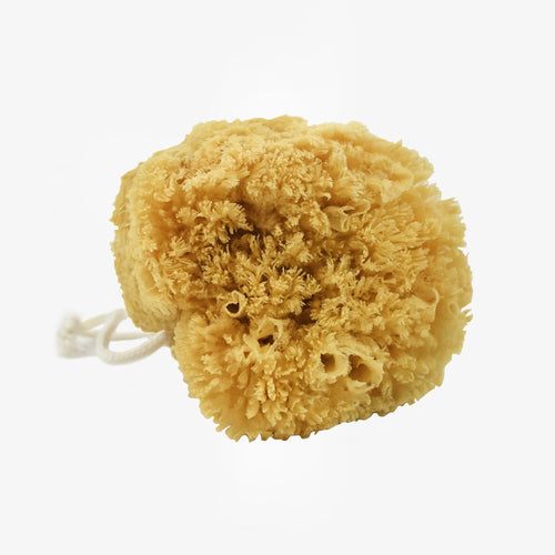 Natural Bath Sponge