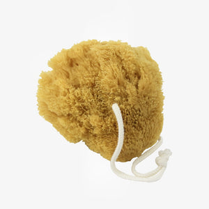 Natural Bath Sponge