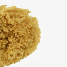 Load image into Gallery viewer, Natural Bath Sponge