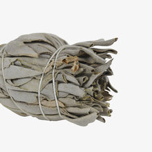 Load image into Gallery viewer, White Sage Smudge Stick