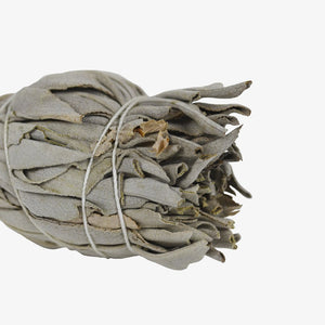 White Sage Smudge Stick