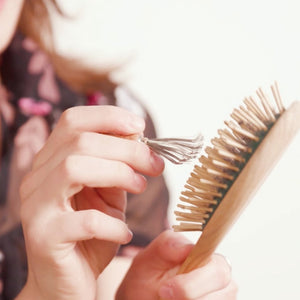 Comb and Brush Cleaner