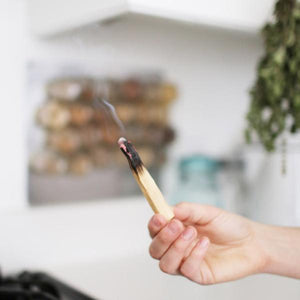 Palo Santo Stick